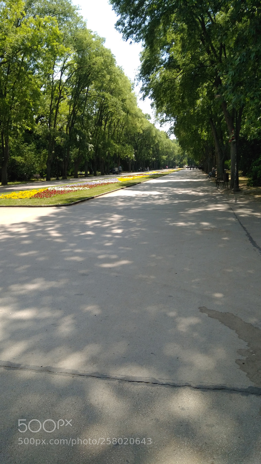 Xiaomi Redmi 4 Pro sample photo. Untitled photography