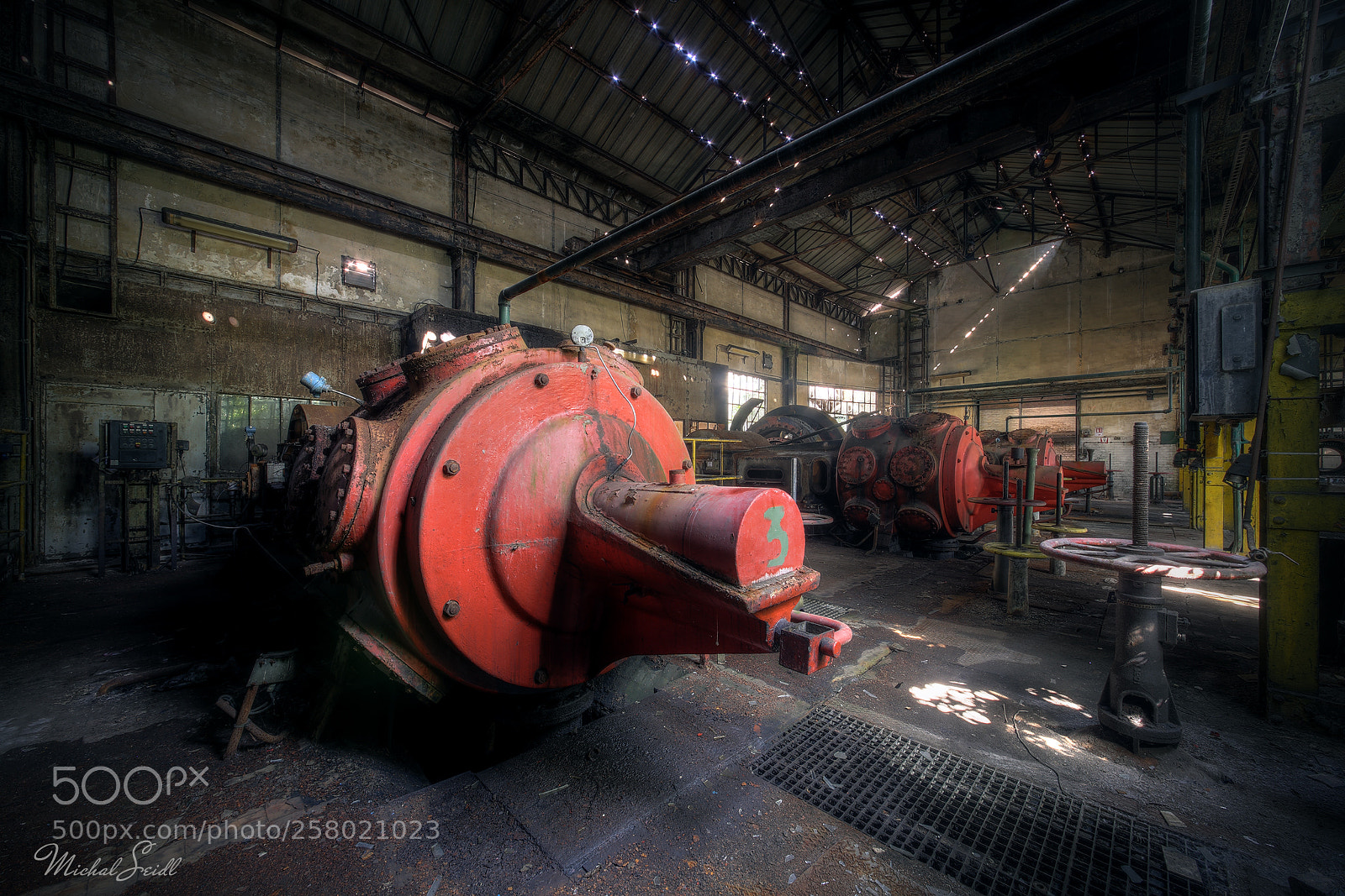 Canon EOS 6D sample photo. The pig photography