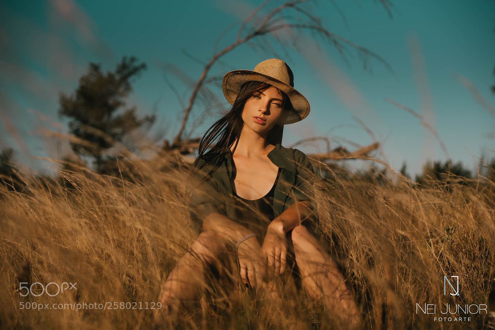 Nikon D750 sample photo. Nik photography