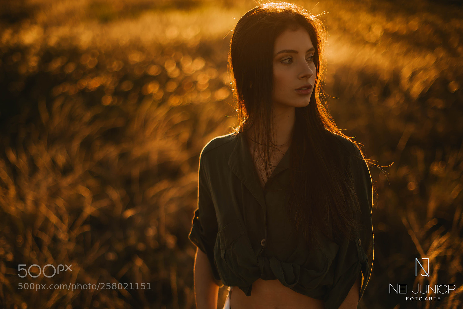 Nikon D750 sample photo. Nik photography