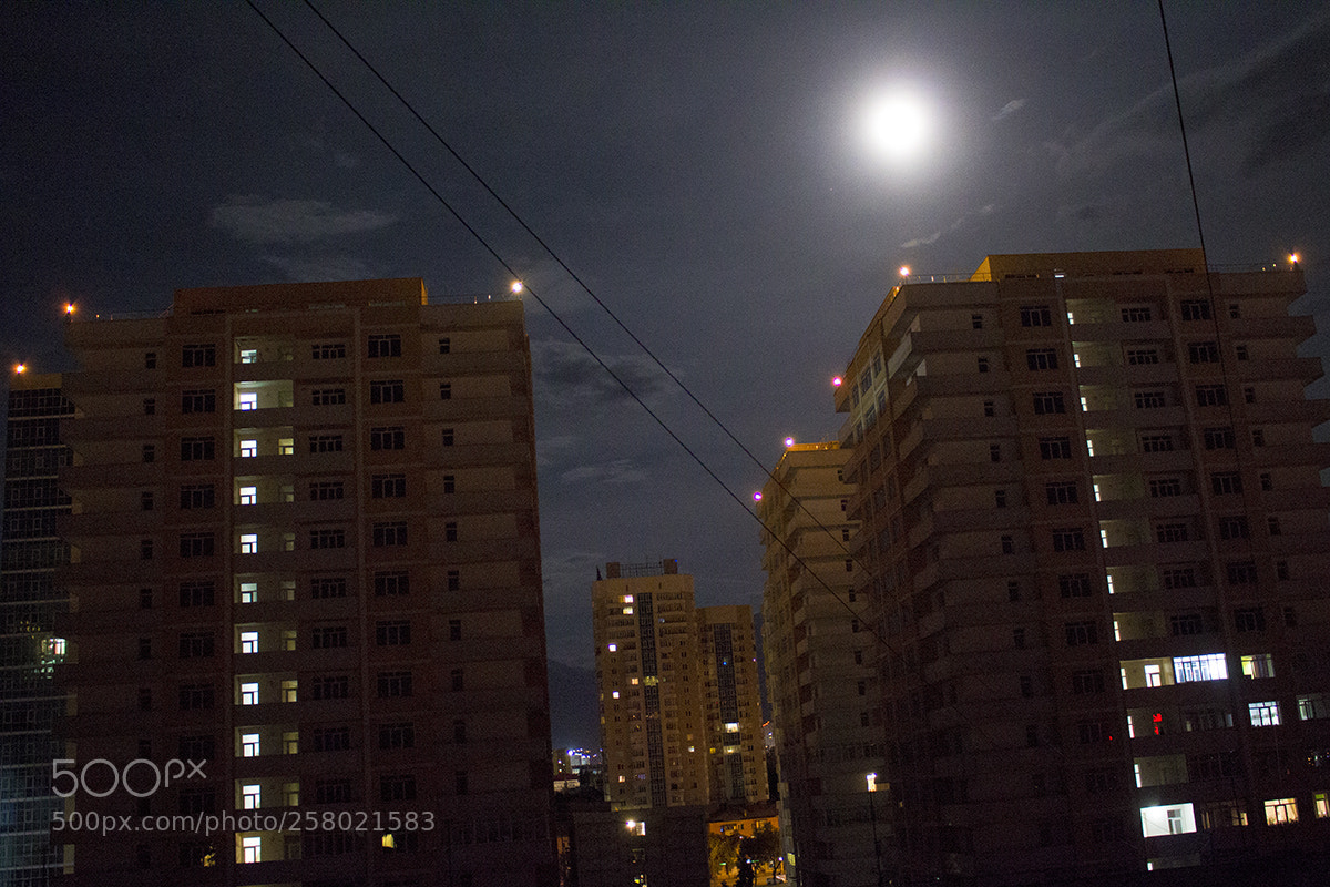 Canon EOS 600D (Rebel EOS T3i / EOS Kiss X5) sample photo. Not leaving the room photography