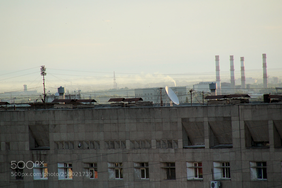 Canon EOS 600D (Rebel EOS T3i / EOS Kiss X5) sample photo. Not leaving the room photography