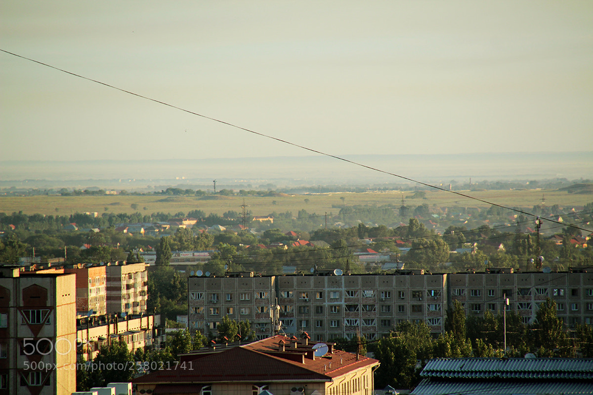 Canon EOS 600D (Rebel EOS T3i / EOS Kiss X5) sample photo. Not leaving the room photography