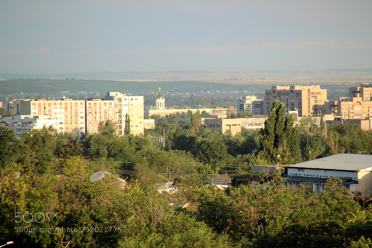 Canon EOS 600D (Rebel EOS T3i / EOS Kiss X5) sample photo. Not leaving the room photography