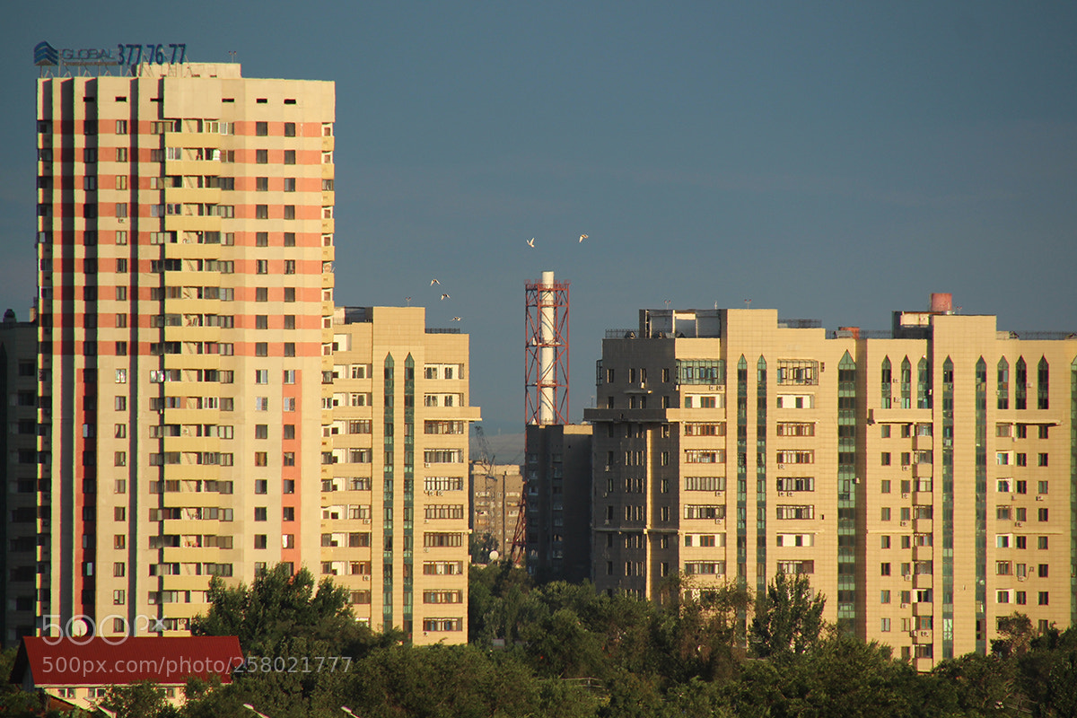 Canon EOS 600D (Rebel EOS T3i / EOS Kiss X5) sample photo. Not leaving the room photography
