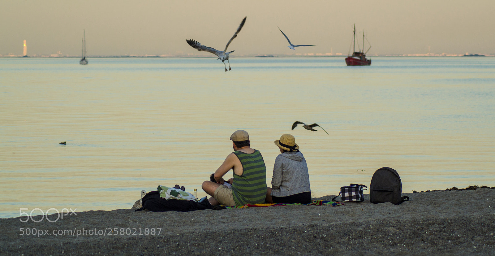 Nikon D3100 sample photo. Spring glow photography