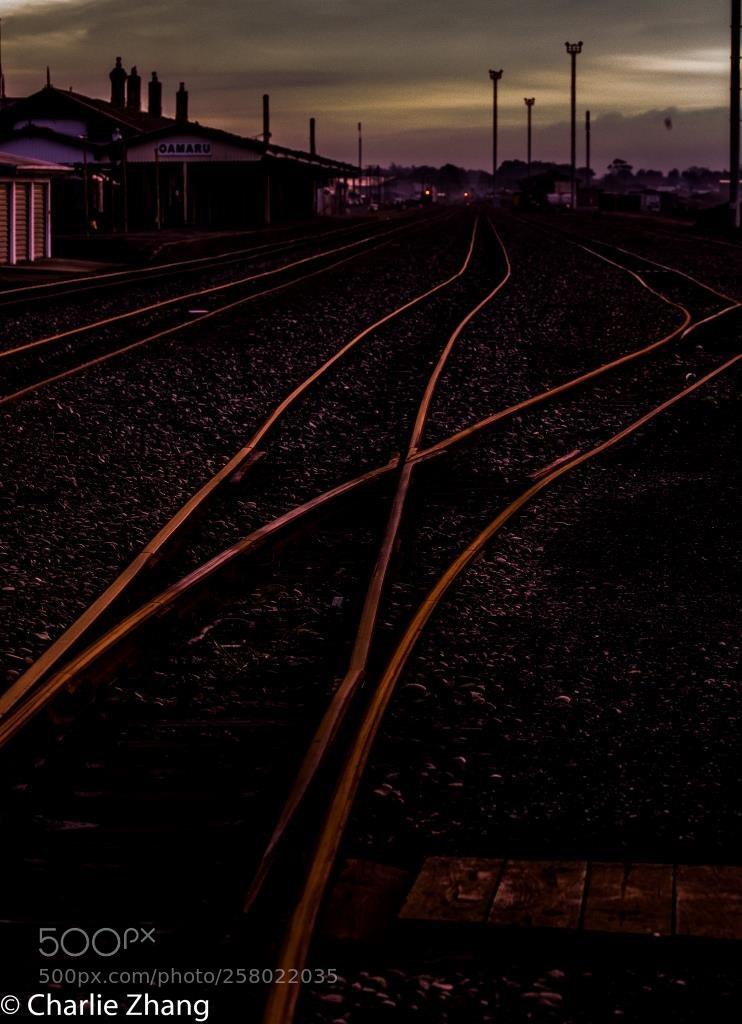 Canon EOS-1D X sample photo. Untitled photography