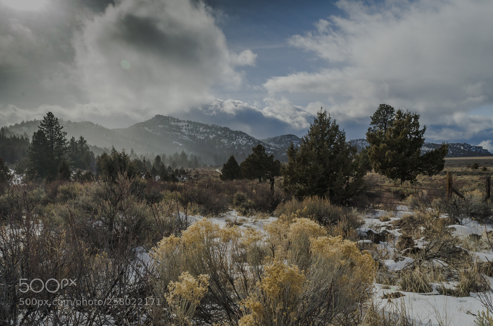 Nikon D7000 sample photo. Desert storm photography