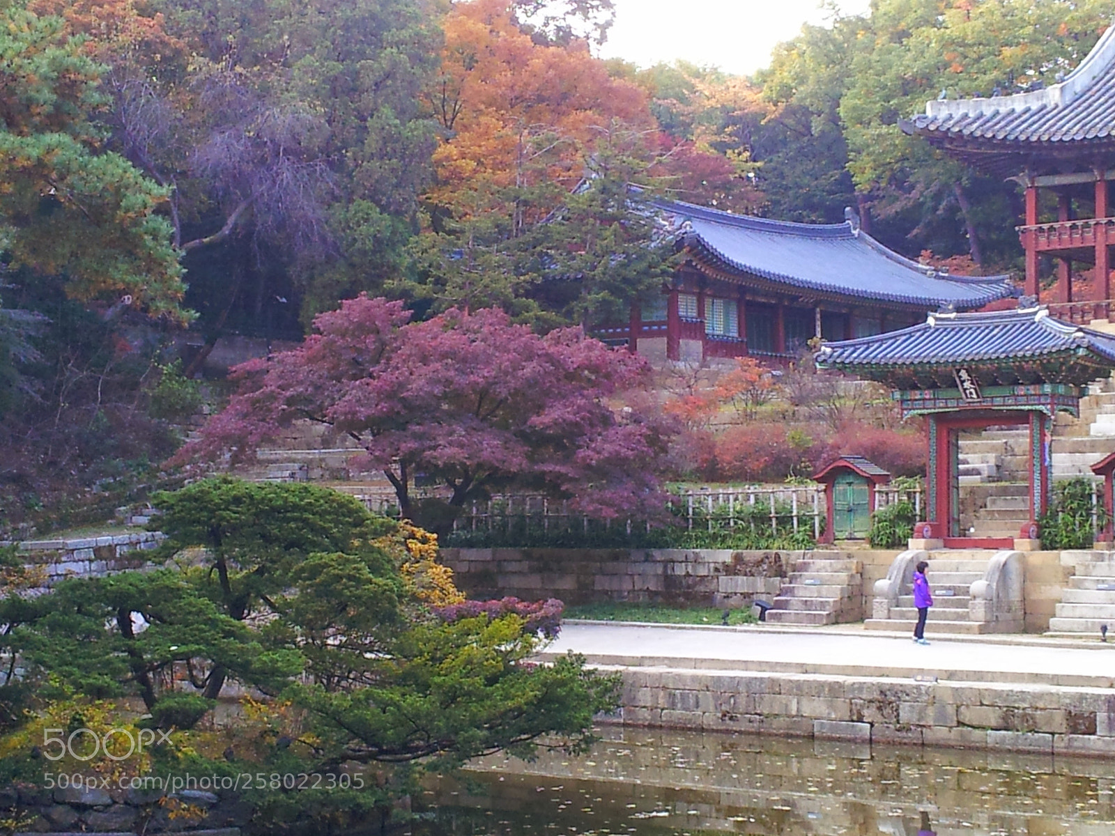 Samsung Galaxy S2 sample photo. 20131030_154122.jpg photography