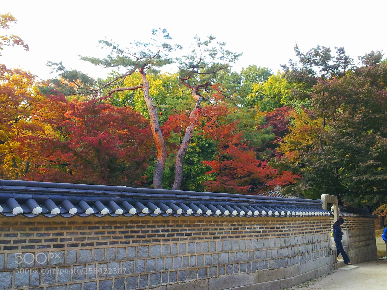 Samsung Galaxy S2 sample photo. 20131030_155826.jpg photography