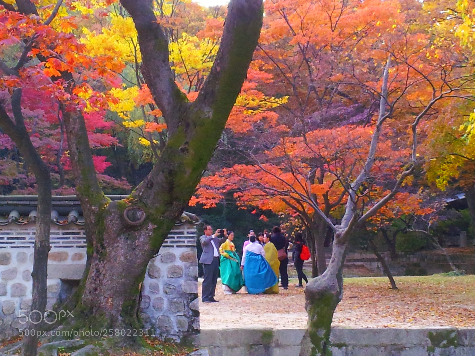 Samsung Galaxy S2 sample photo. 20131030_160104.jpg photography