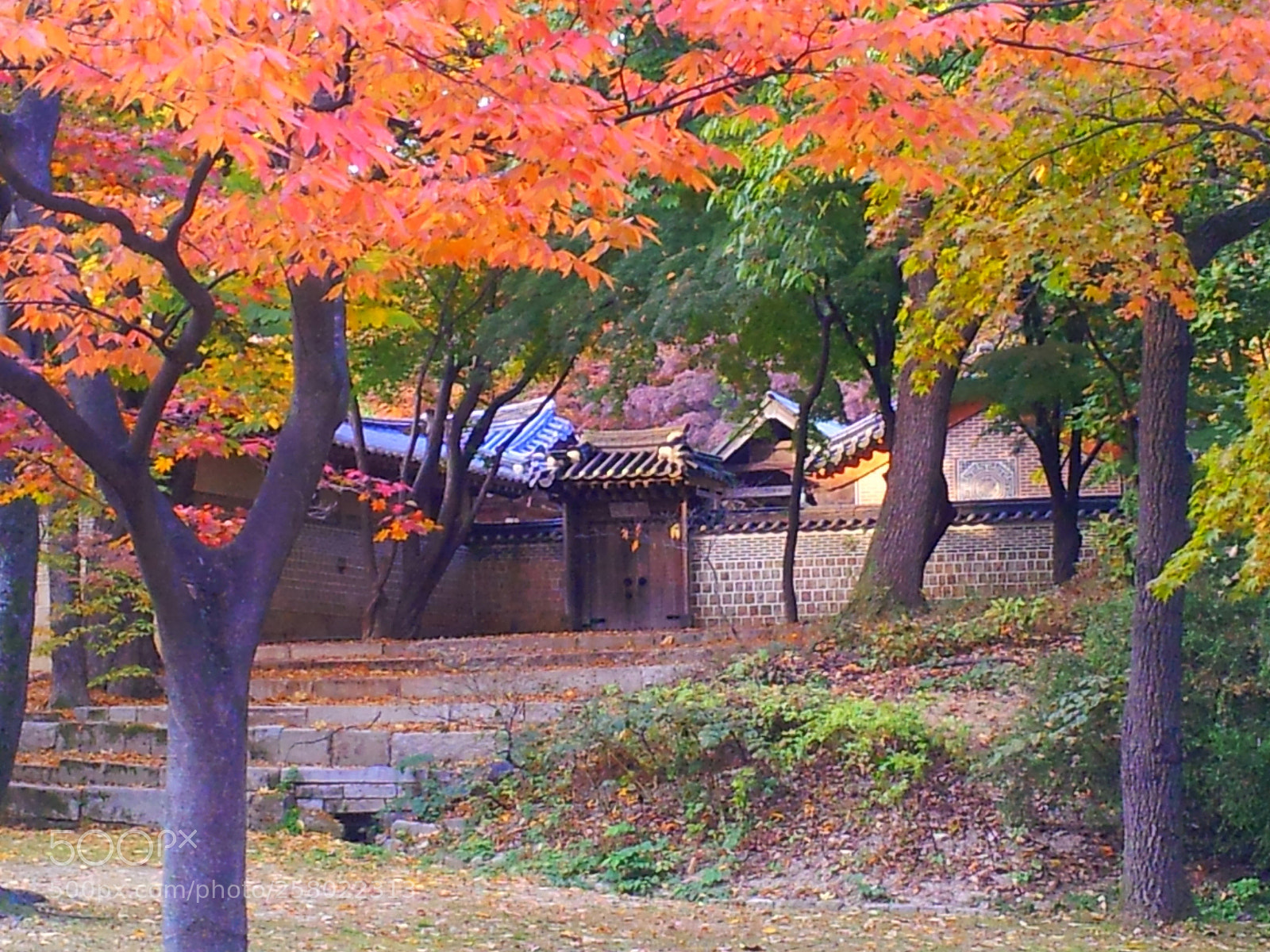 Samsung Galaxy S2 sample photo. Changdeokgung palace, seoul photography