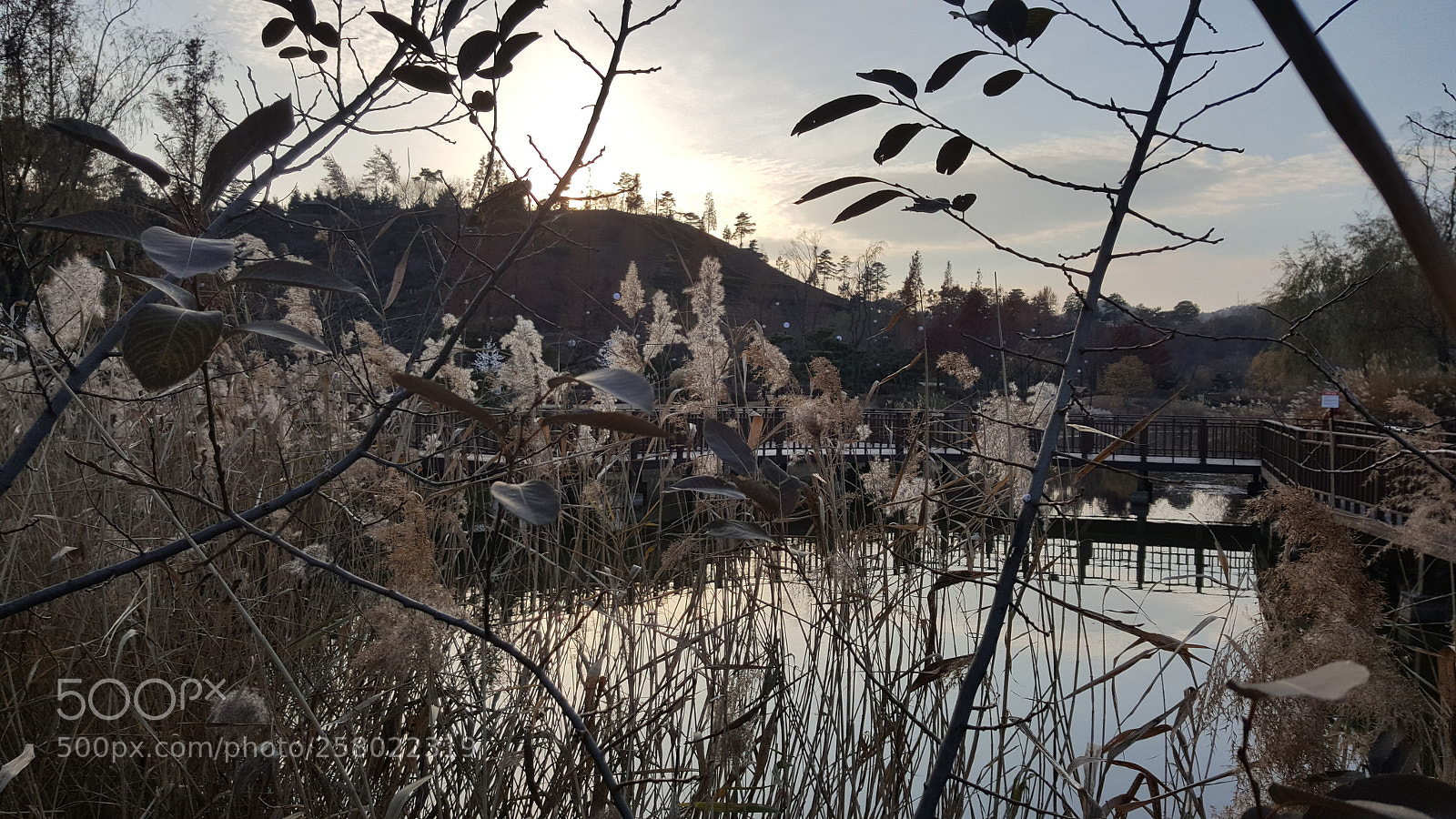Samsung Galaxy Note5 sample photo. Suncheonman bay photography