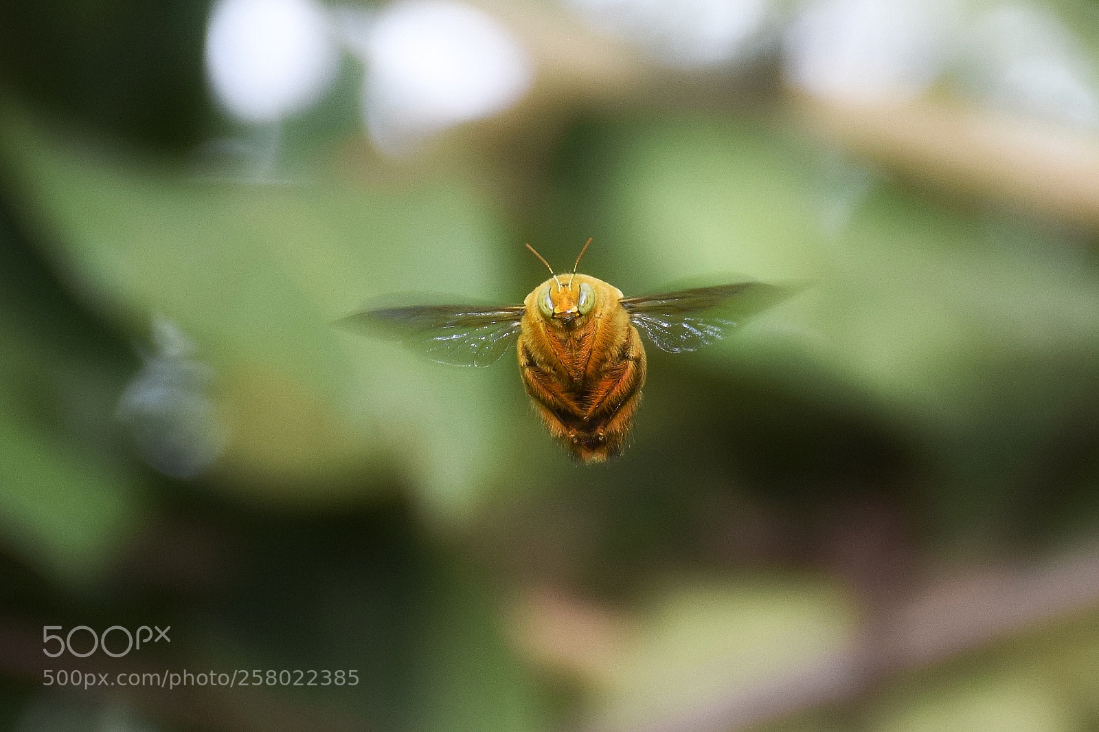 Nikon D5300 sample photo. Untitled photography