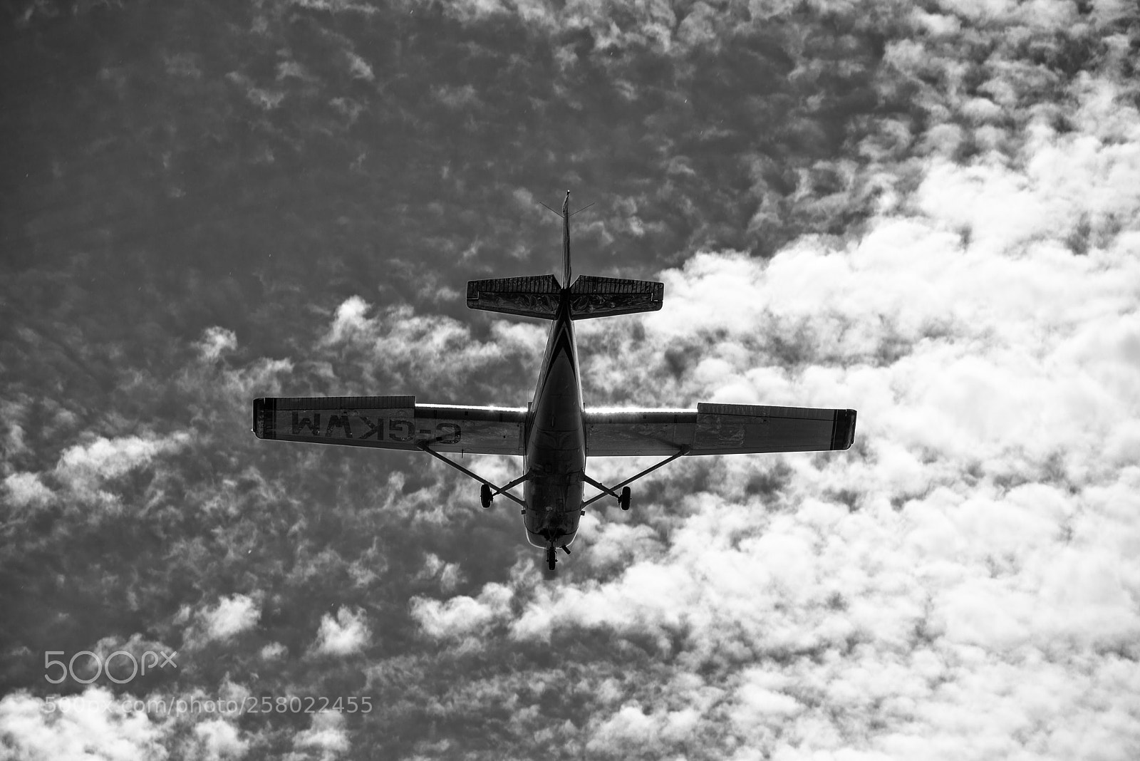 Nikon D610 sample photo. Airplane photography