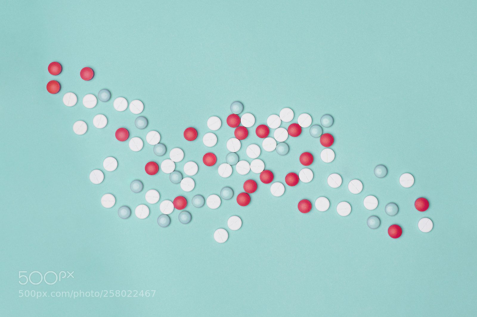 Nikon D810 sample photo. Assortment of various colourful photography