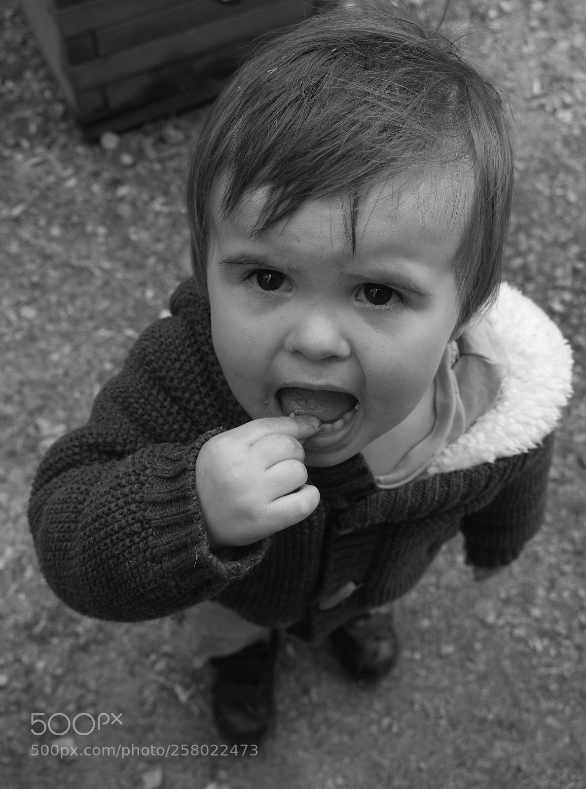 Nikon D3300 sample photo. Little boy photography