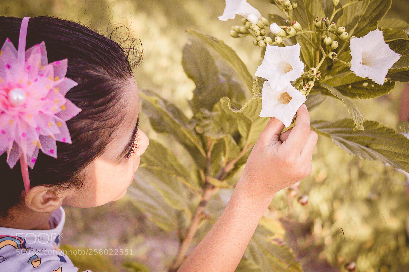 Nikon D3200 sample photo. Untitled photography