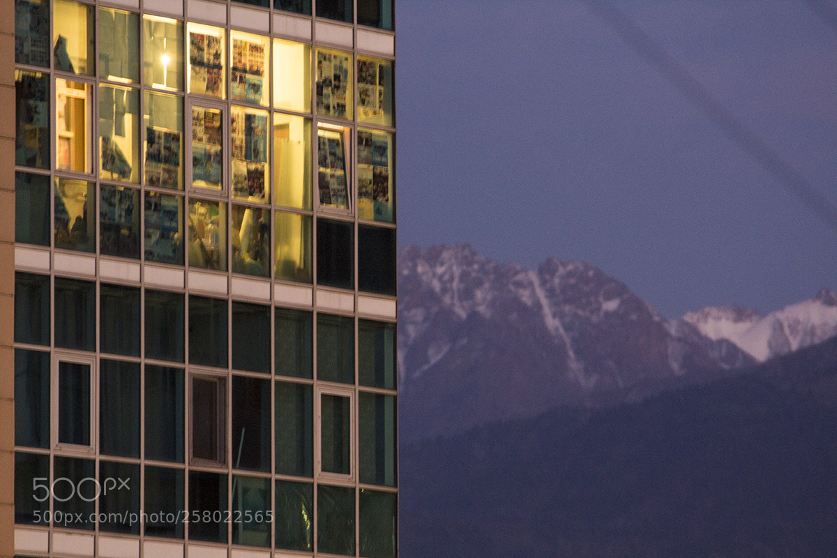 Canon EOS 600D (Rebel EOS T3i / EOS Kiss X5) sample photo. Not leaving the room photography