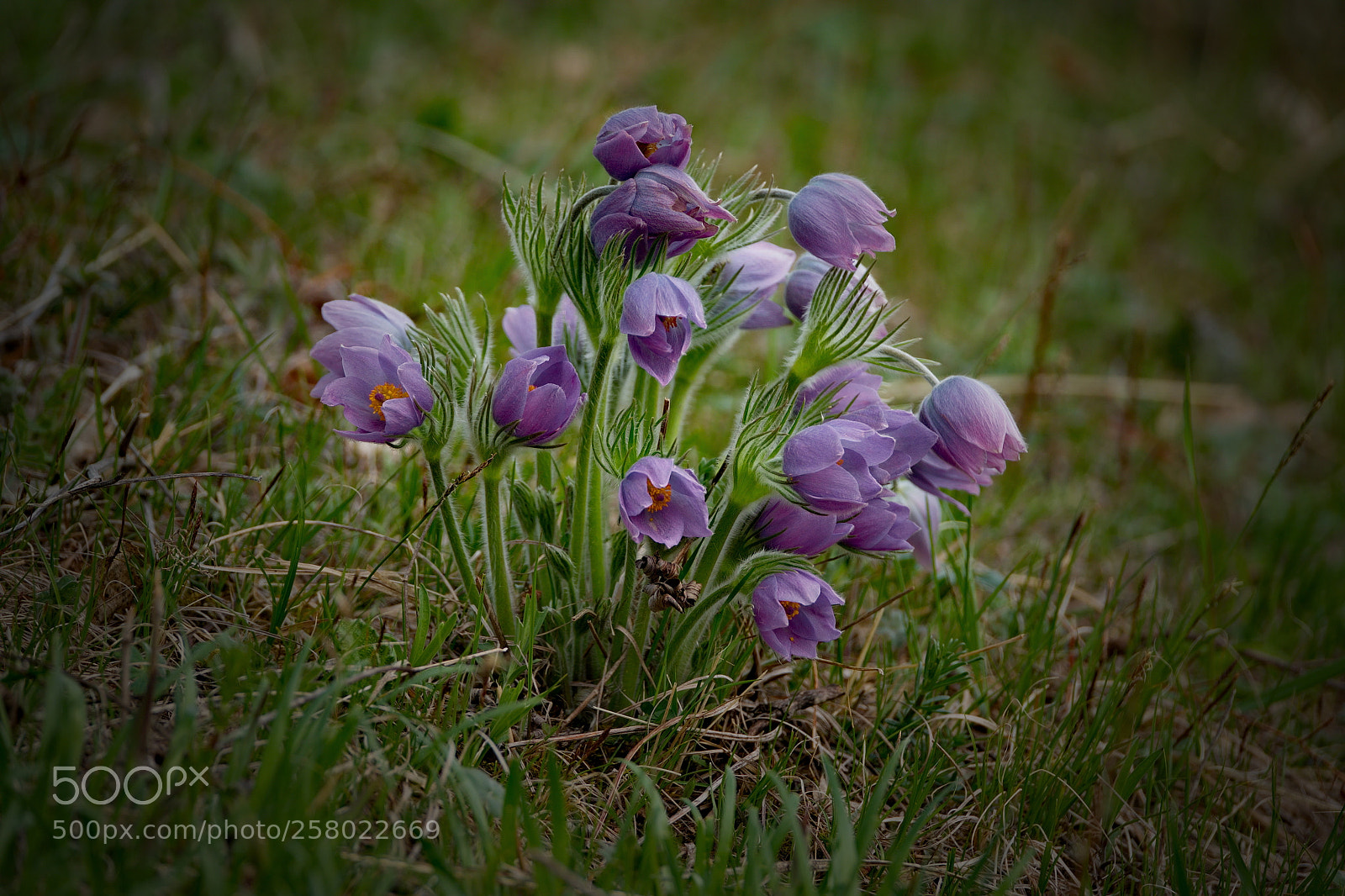 Fujifilm X-T1 sample photo. Russia. the south of photography