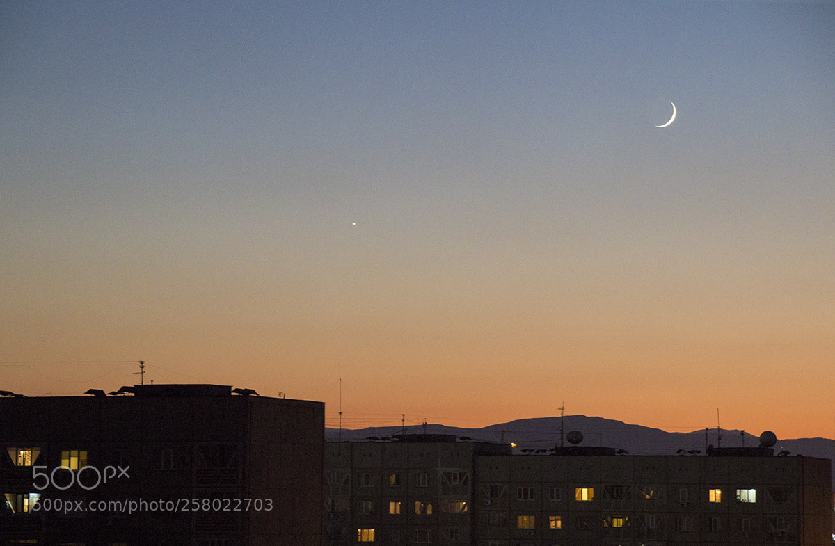 Canon EOS 600D (Rebel EOS T3i / EOS Kiss X5) sample photo. Not leaving the room photography