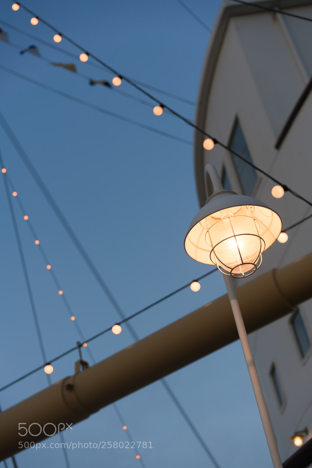 Sony a7R III sample photo. Night at tokyo disney photography
