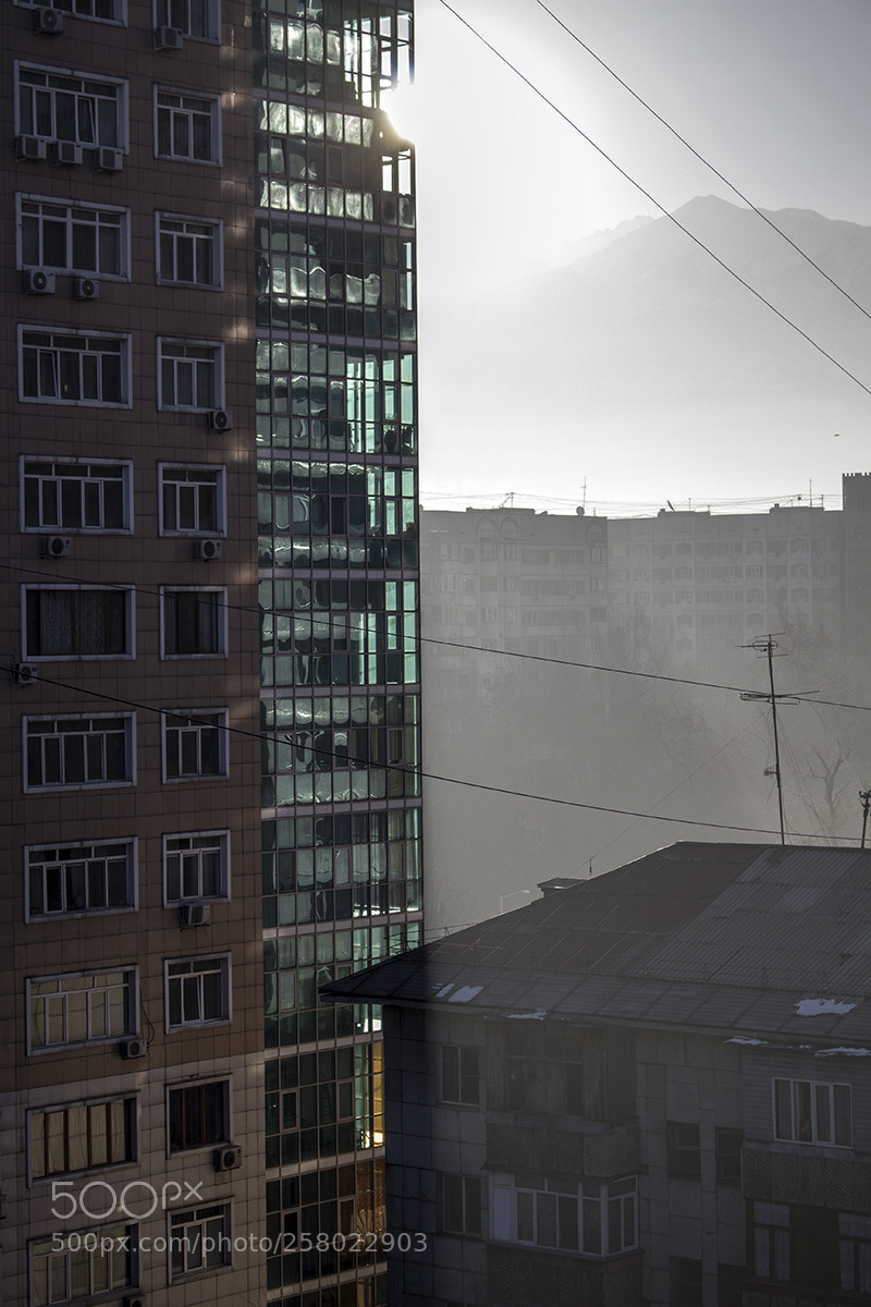 Canon EOS 600D (Rebel EOS T3i / EOS Kiss X5) sample photo. Not leaving the room photography