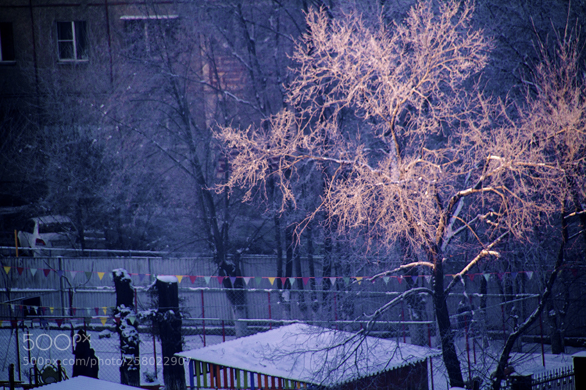 Canon EOS 600D (Rebel EOS T3i / EOS Kiss X5) sample photo. Not leaving the room photography