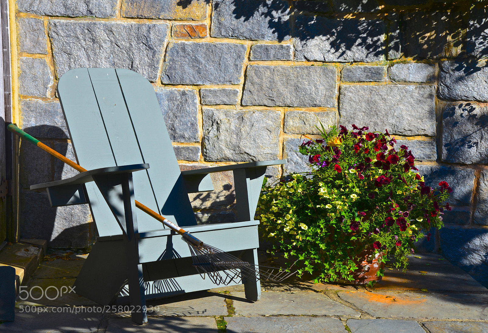 Nikon D600 sample photo. Saturday morning photography