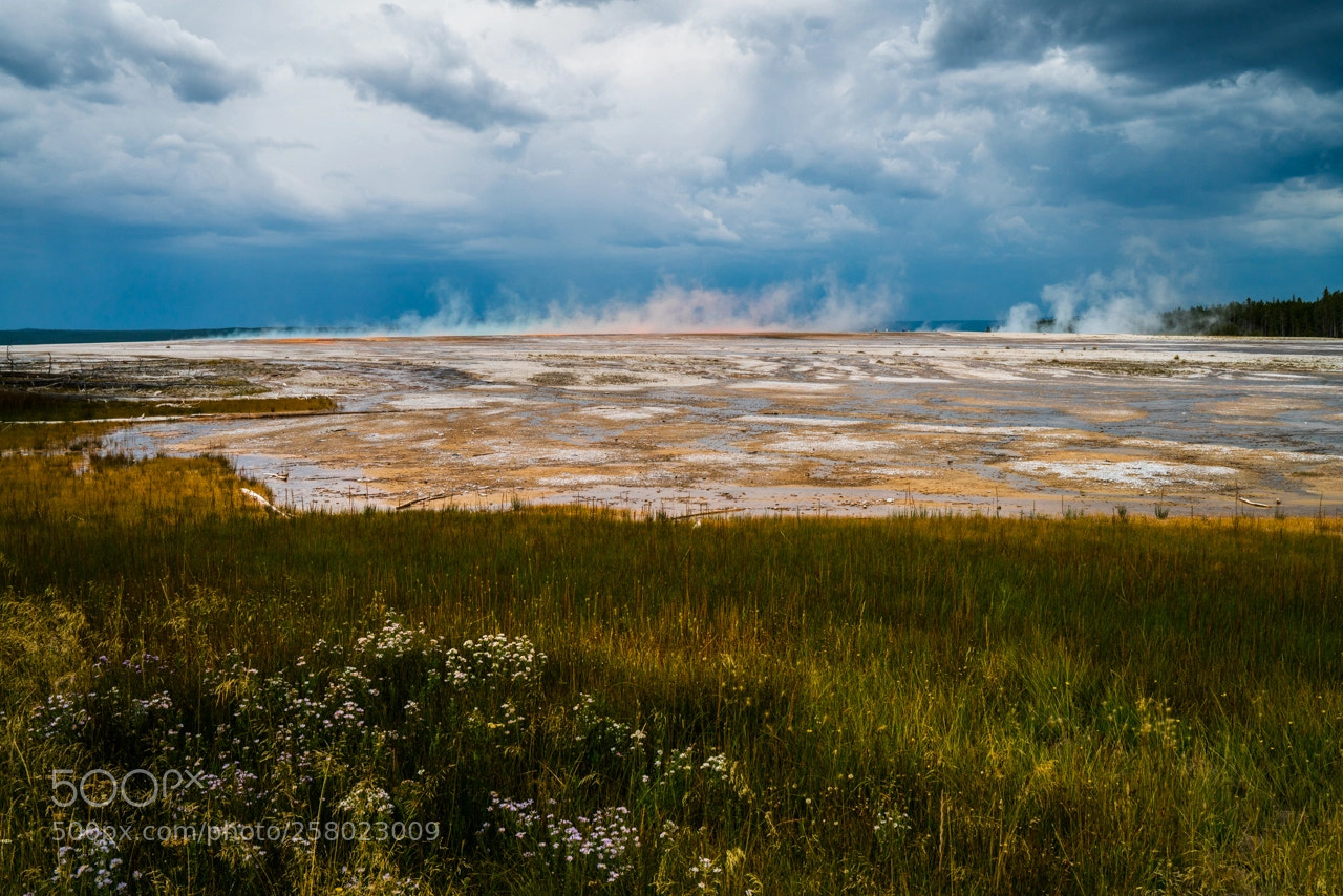 Sony a7R II sample photo. Colorful steam photography