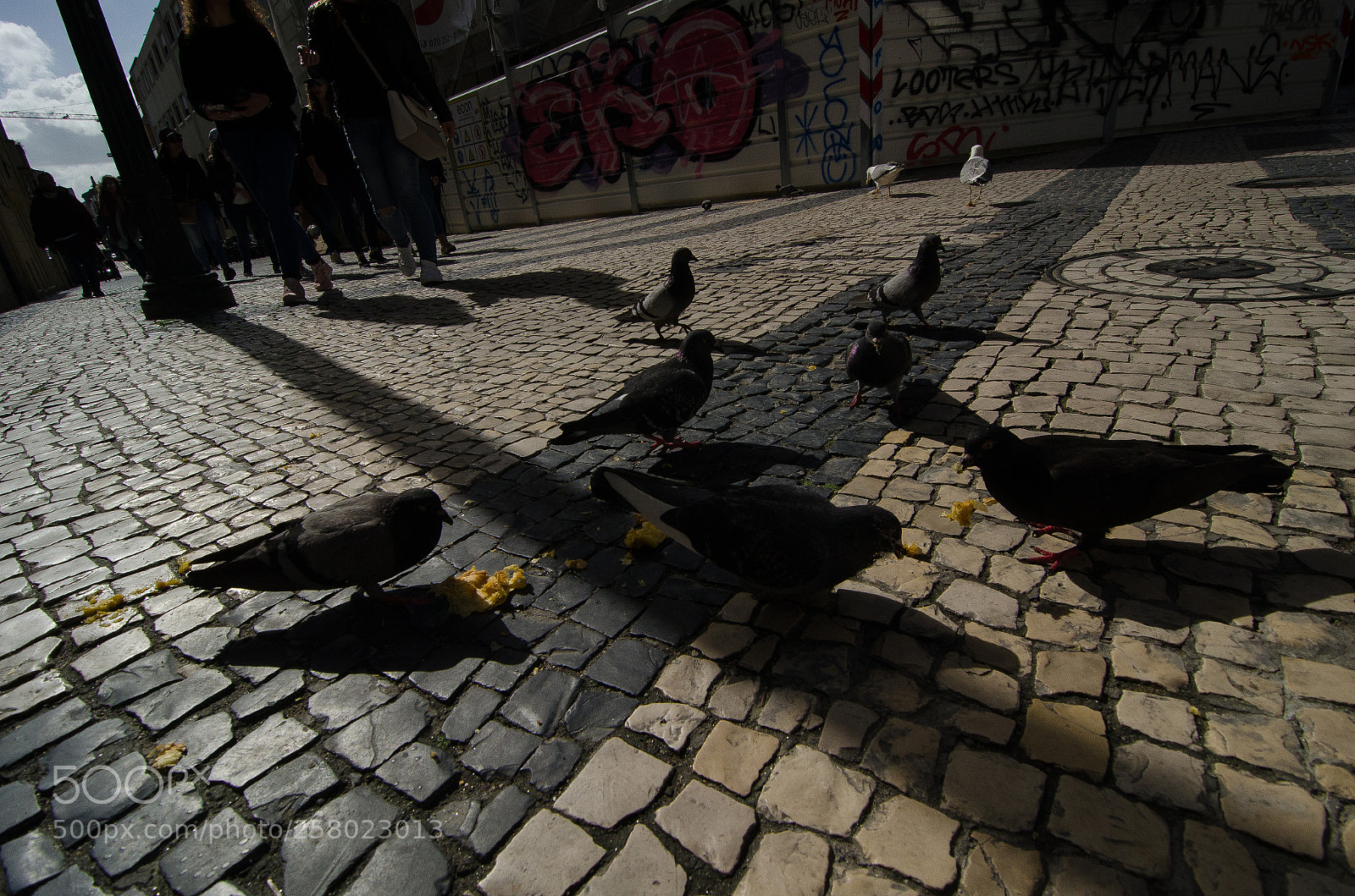 Nikon D7000 sample photo. Recharging photography
