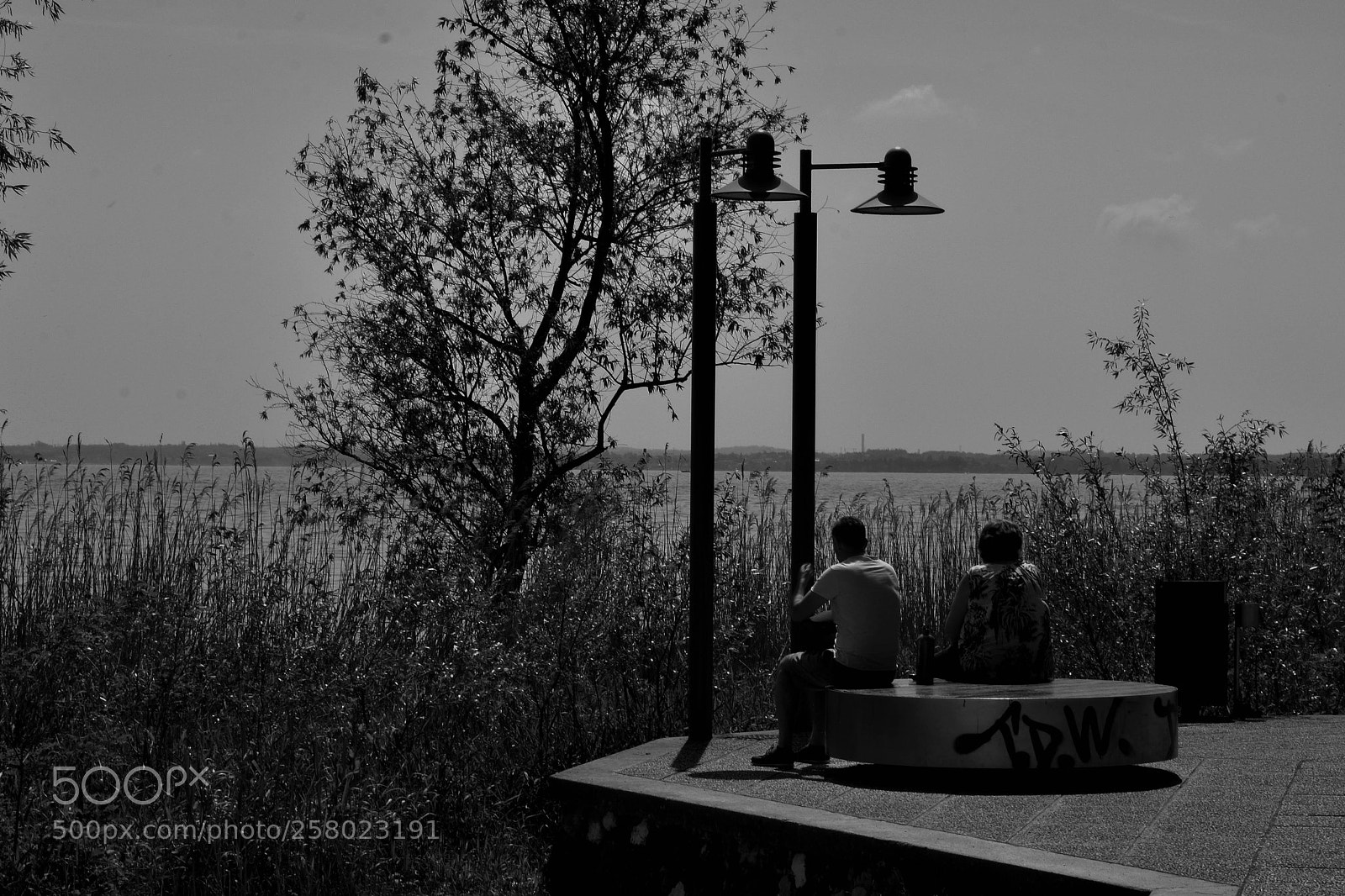 Nikon D5600 sample photo. Persone sul lago photography