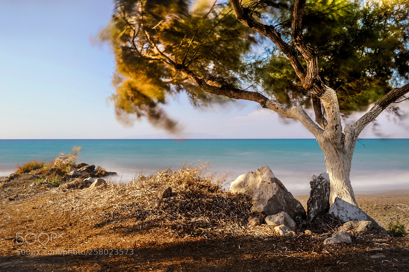 Nikon D700 sample photo. Wind photography