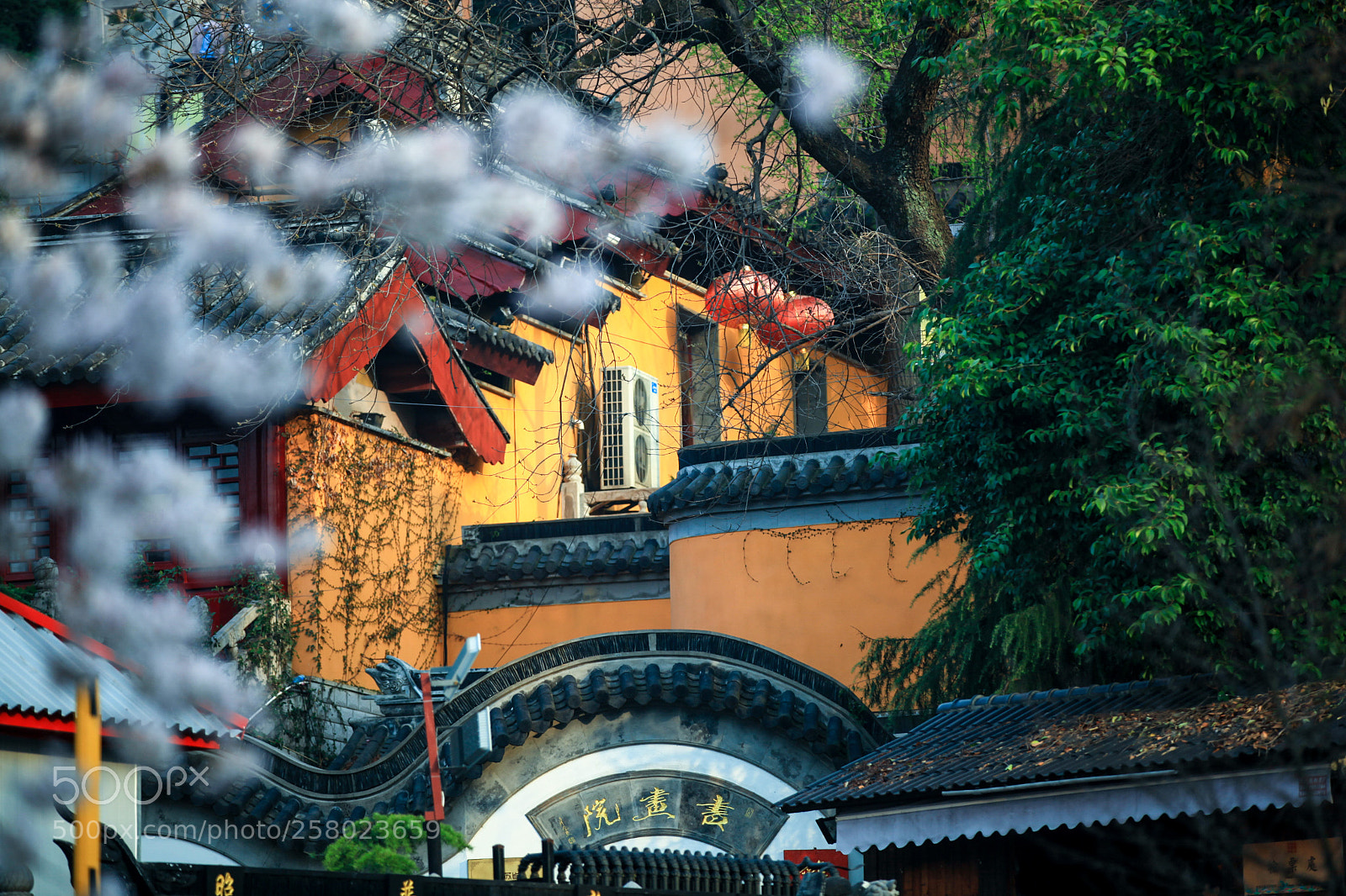 Canon EOS 5D Mark II sample photo. Untitled photography