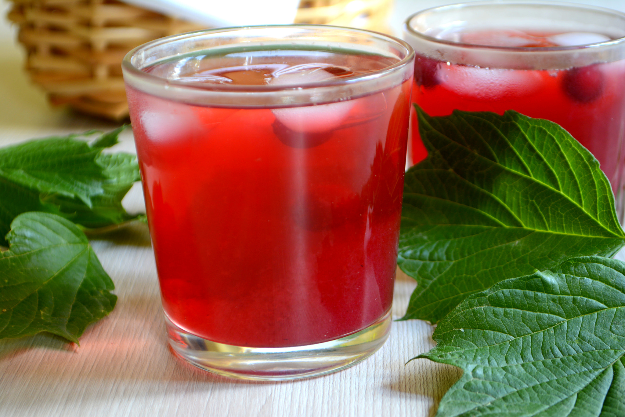 Nikon D7100 sample photo. Cranberry juice or lemonade. red refreshing drink photography