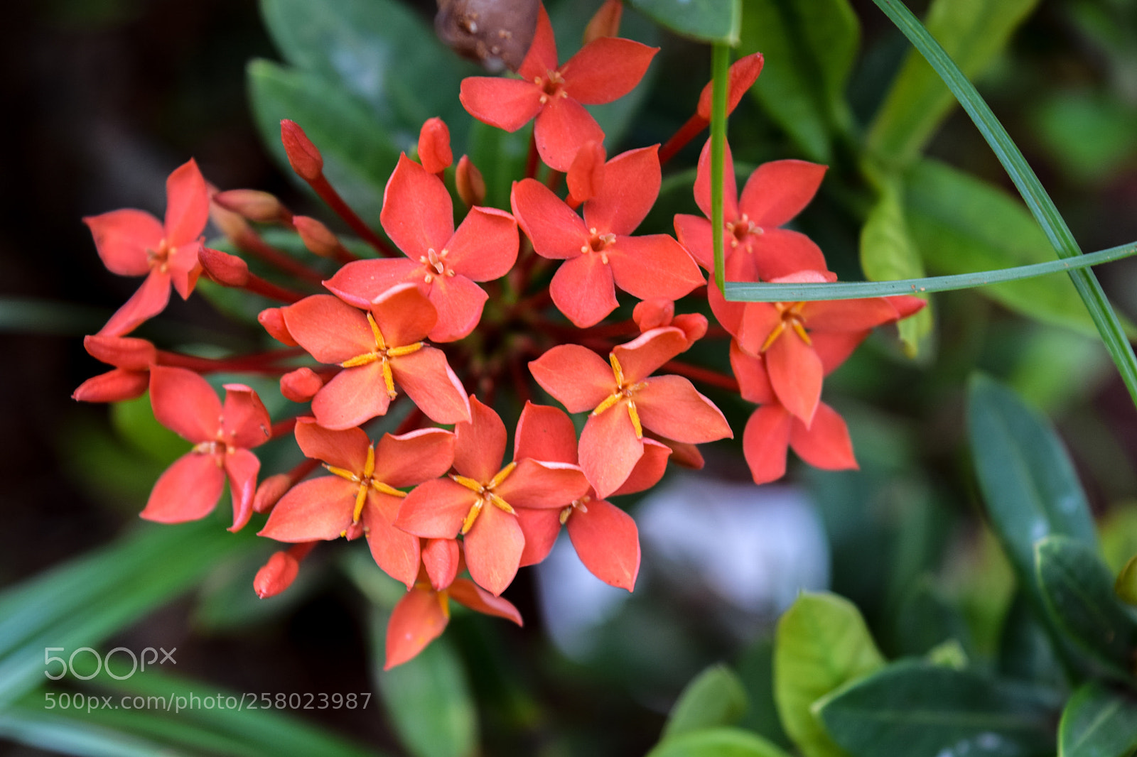 Nikon D3300 sample photo. Untitled photography