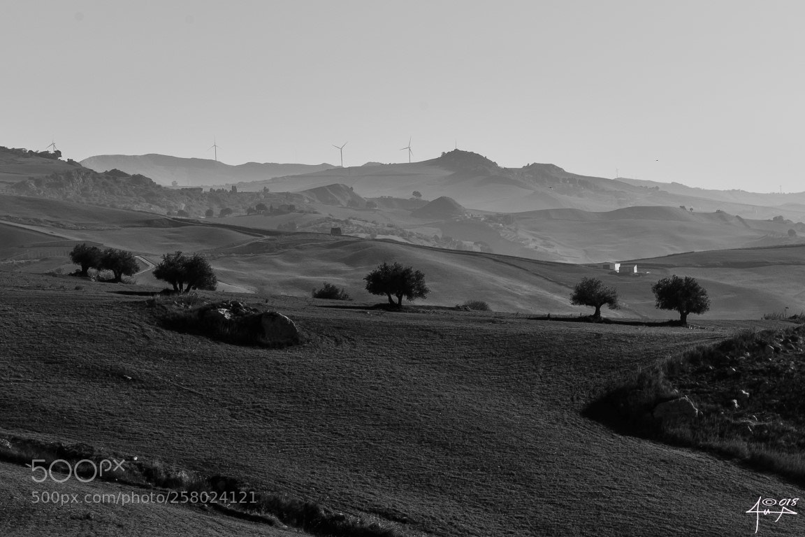 Canon EOS 6D sample photo. Sicily, this is my photography