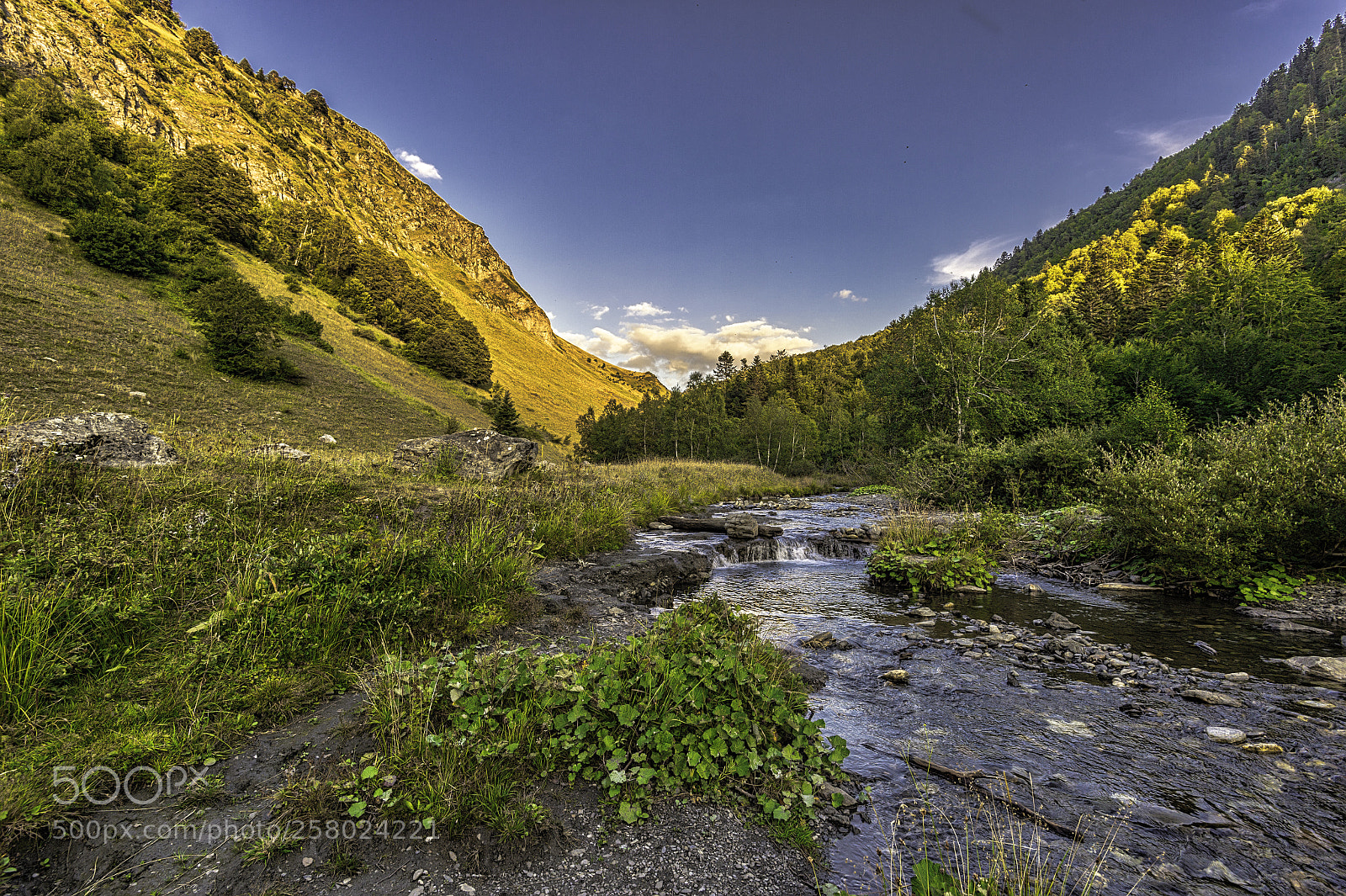 Nikon Df sample photo. Peace and relaxation photography