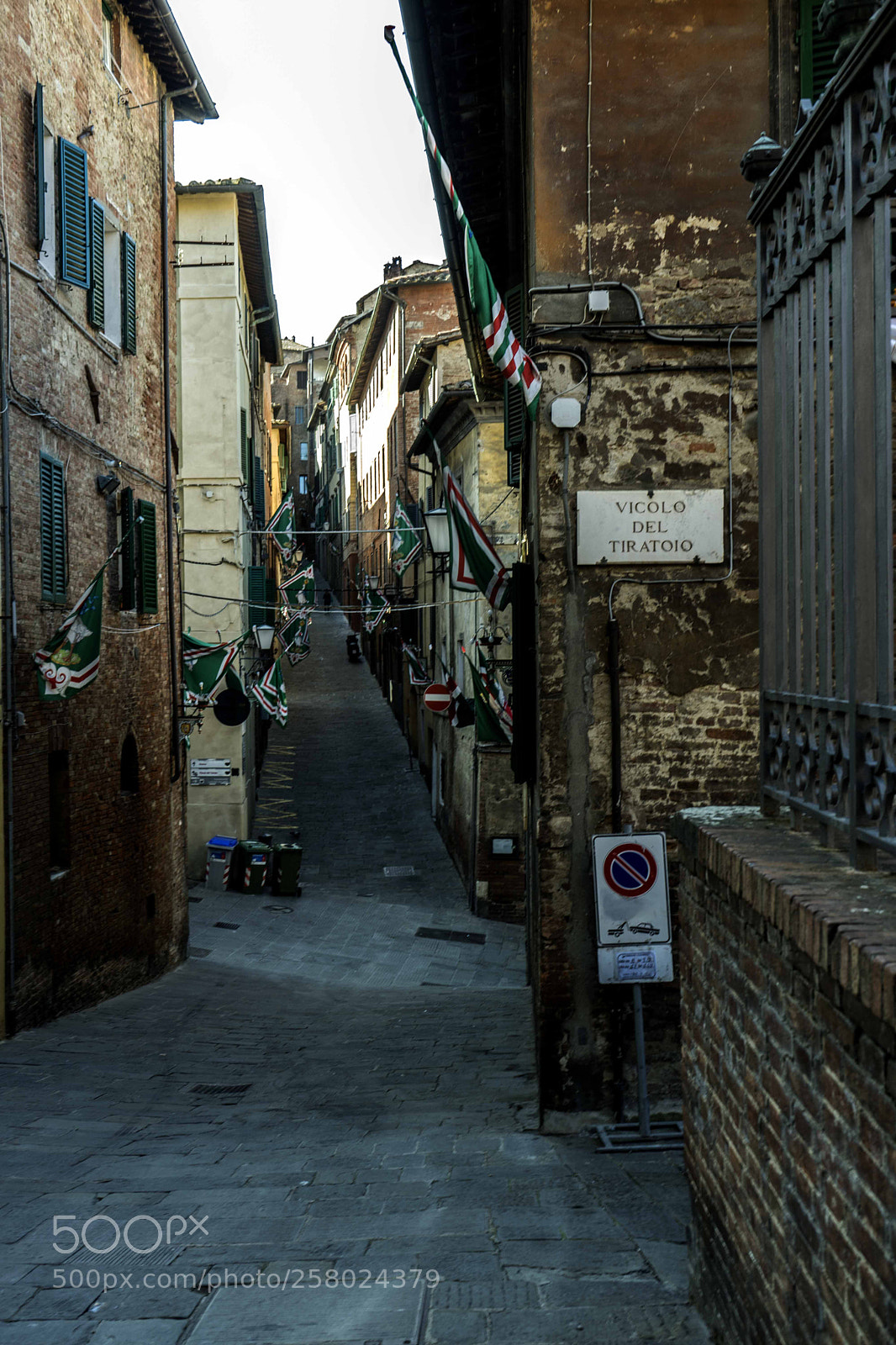 Sony a7 sample photo. Dsc photography