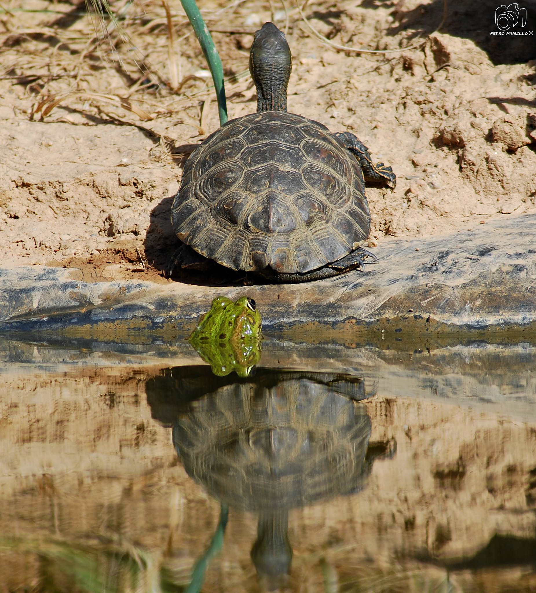 Nikon D60 sample photo