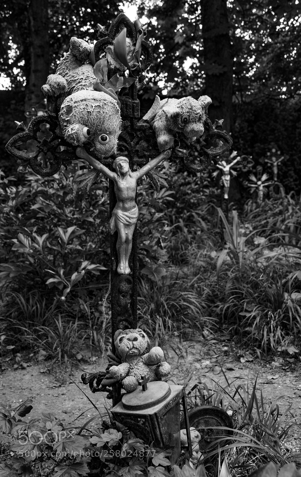 Nikon D5300 sample photo. Graves of the nameless photography