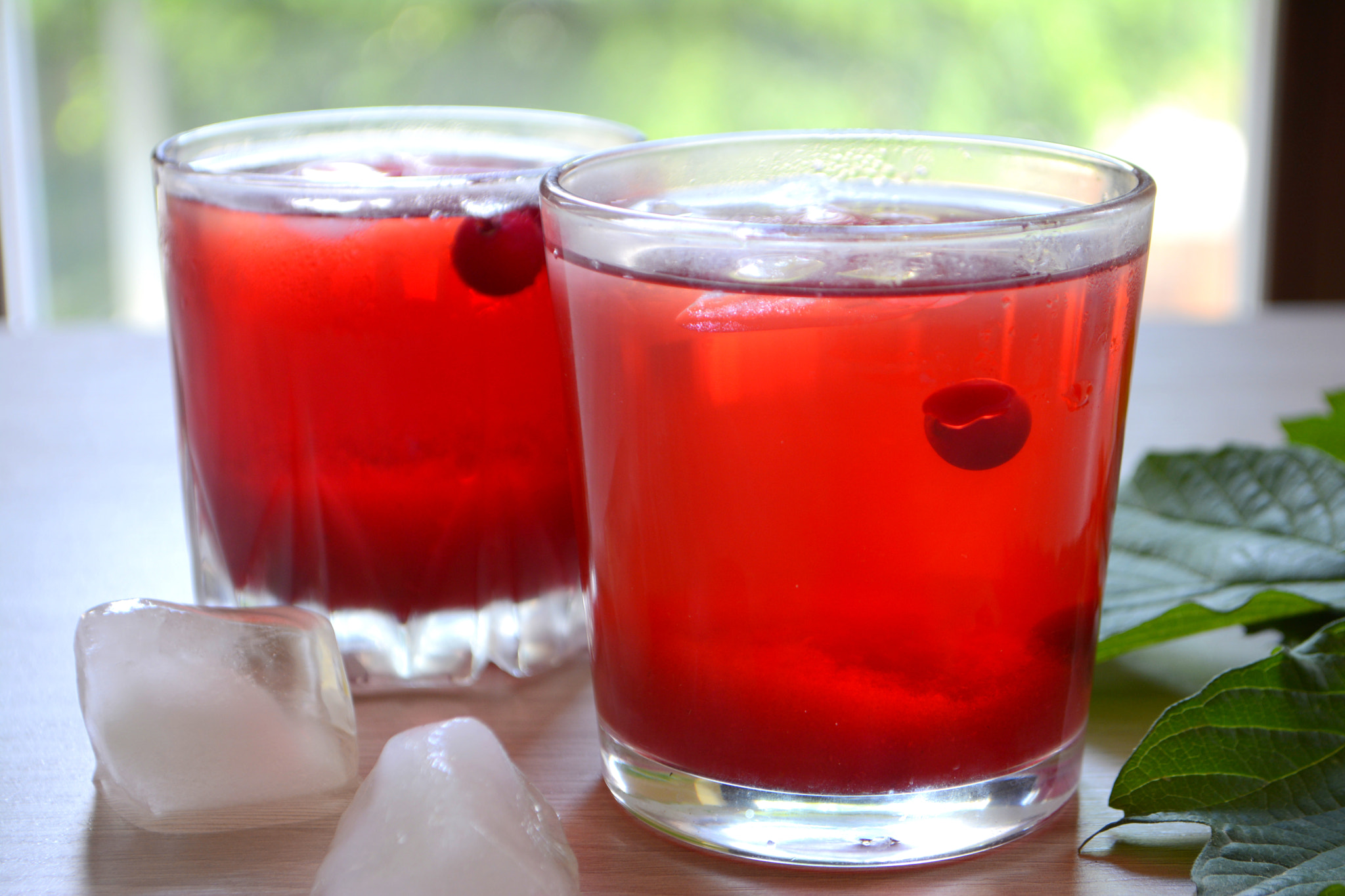 Nikon D7100 sample photo. Cranberry juice or lemonade. red refreshing drink photography
