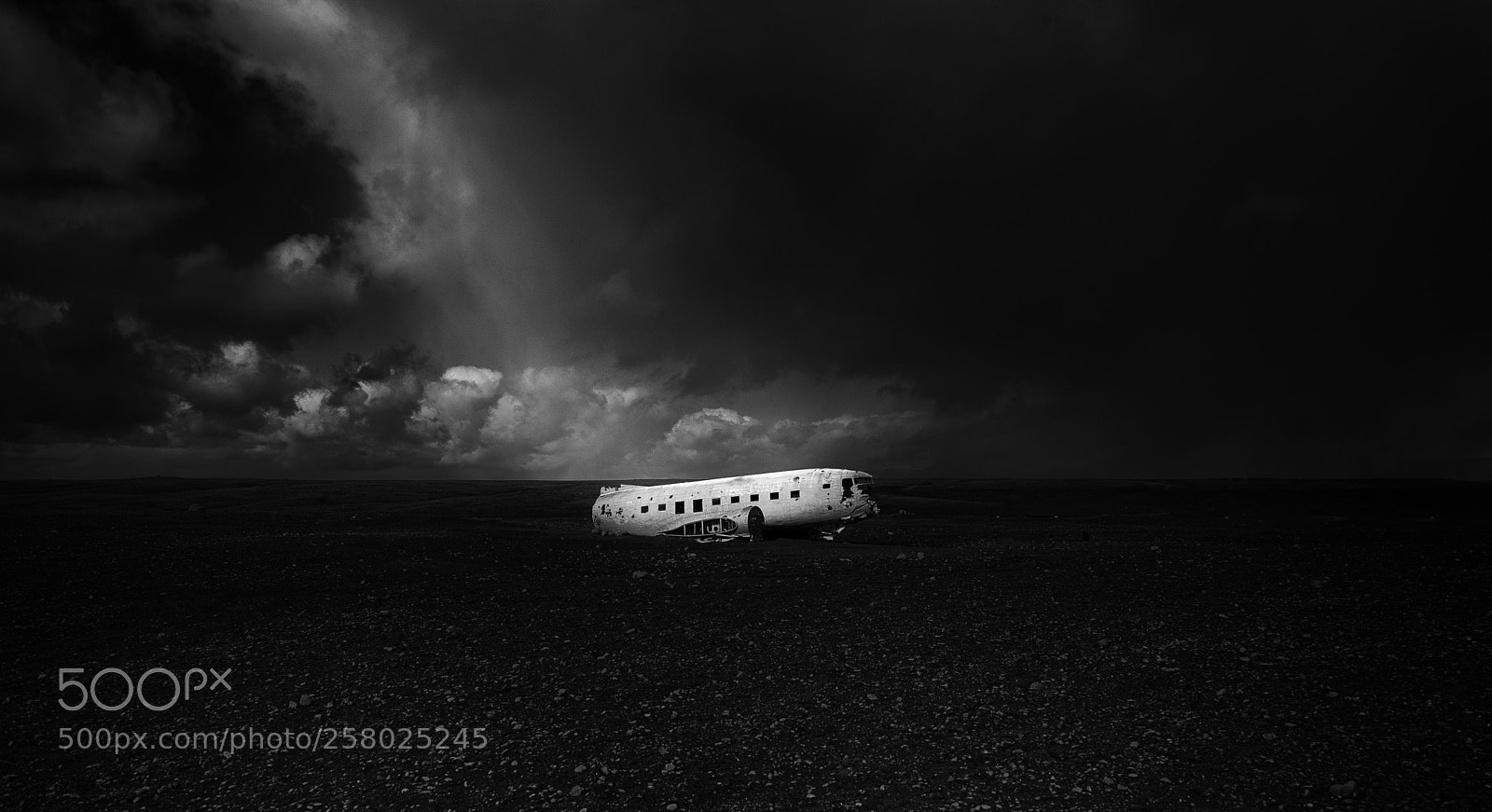 Nikon D750 sample photo. The plane photography