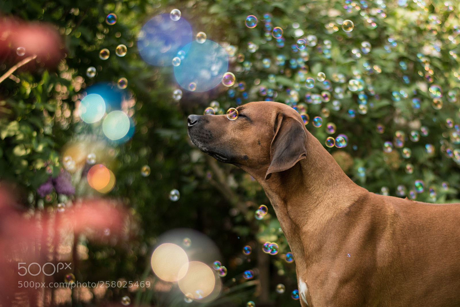 Nikon D5600 sample photo. Taking a break photography