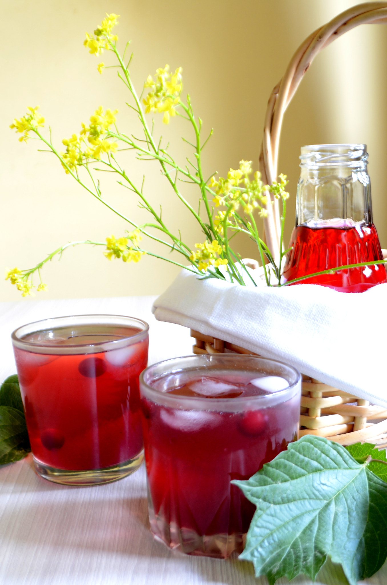 Nikon D7100 sample photo. Cranberry juice or lemonade. red refreshing drink photography