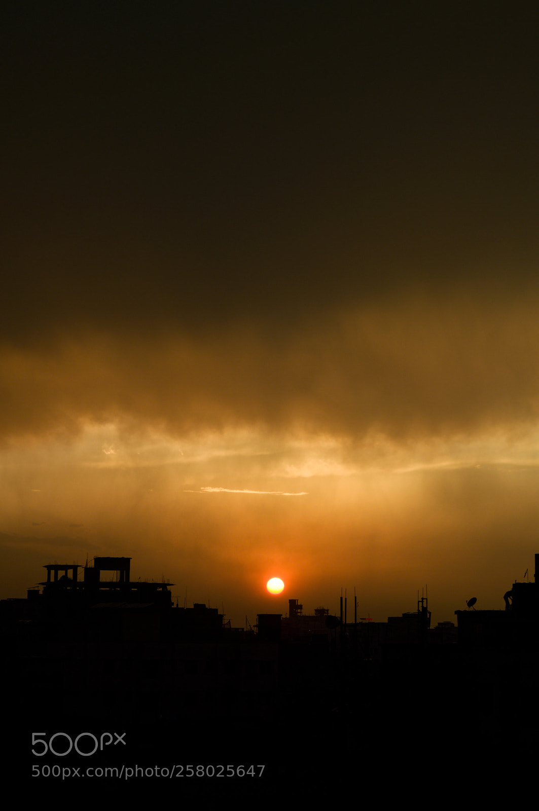 Nikon D3200 sample photo. The evening sun of photography