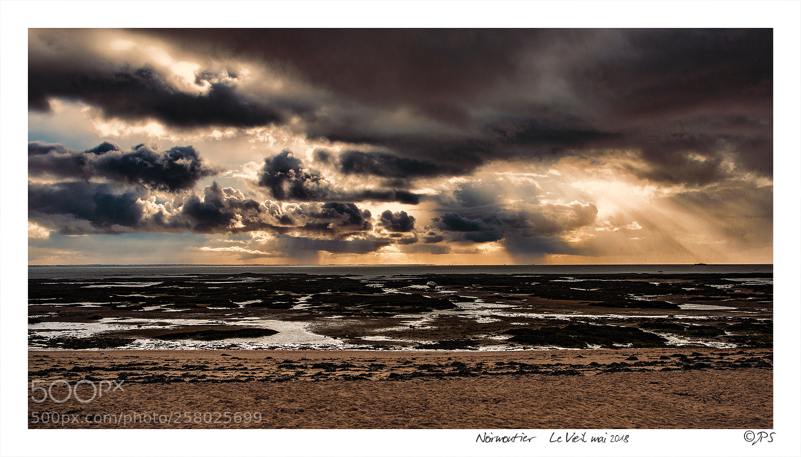 Nikon D750 sample photo. Noirmoutier island under the photography
