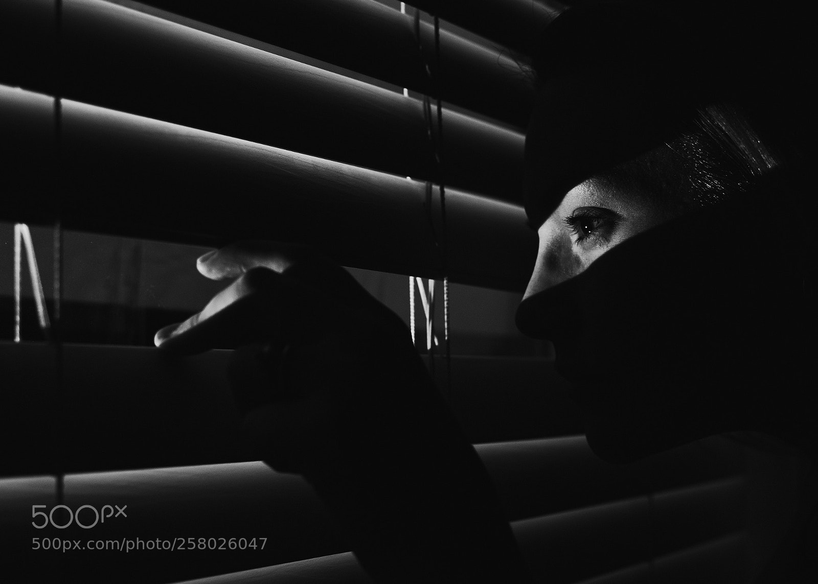 Nikon D500 sample photo. Day 2 noir photography