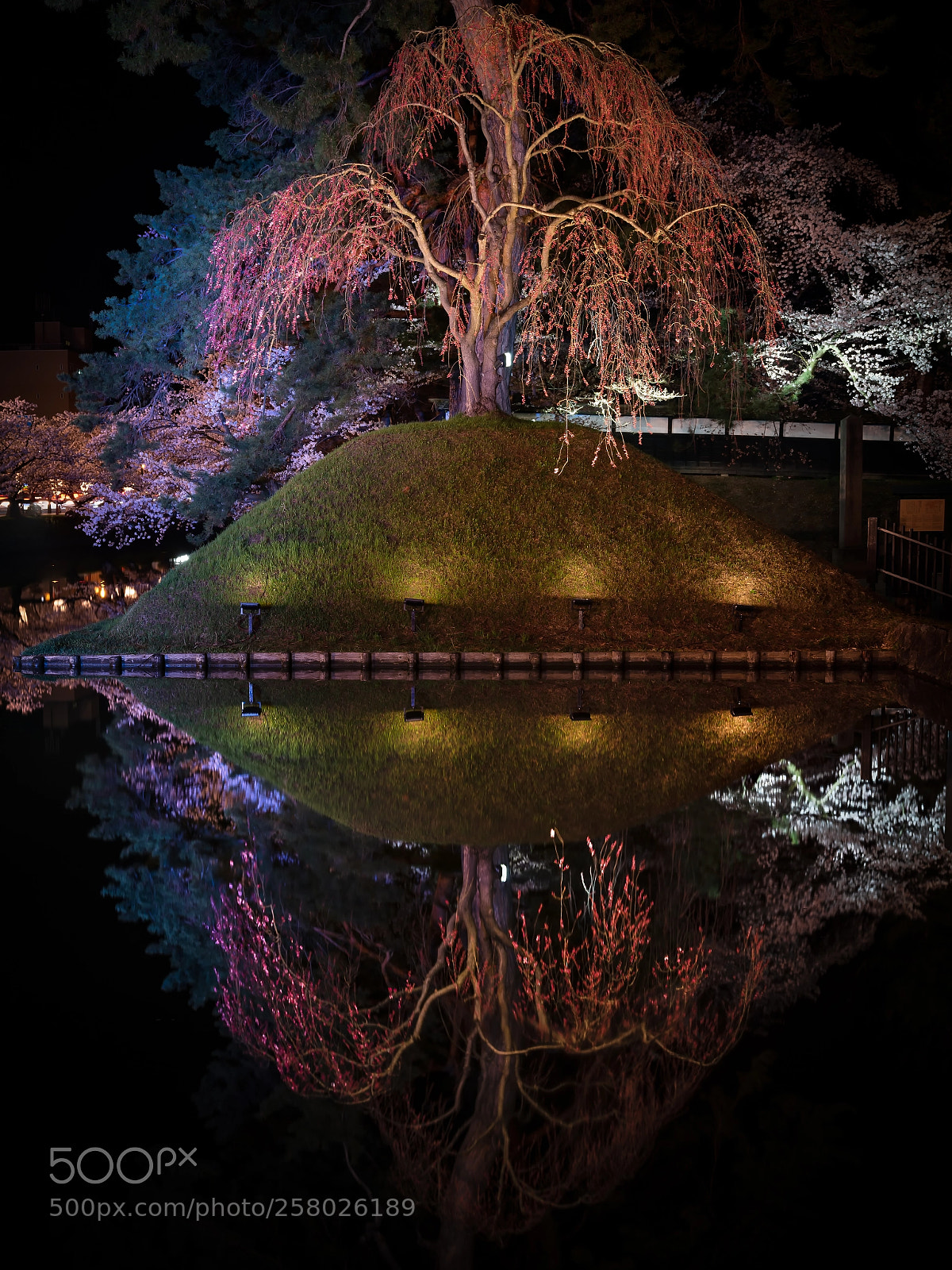 Fujifilm GFX 50S sample photo. Vertical symmetry photography