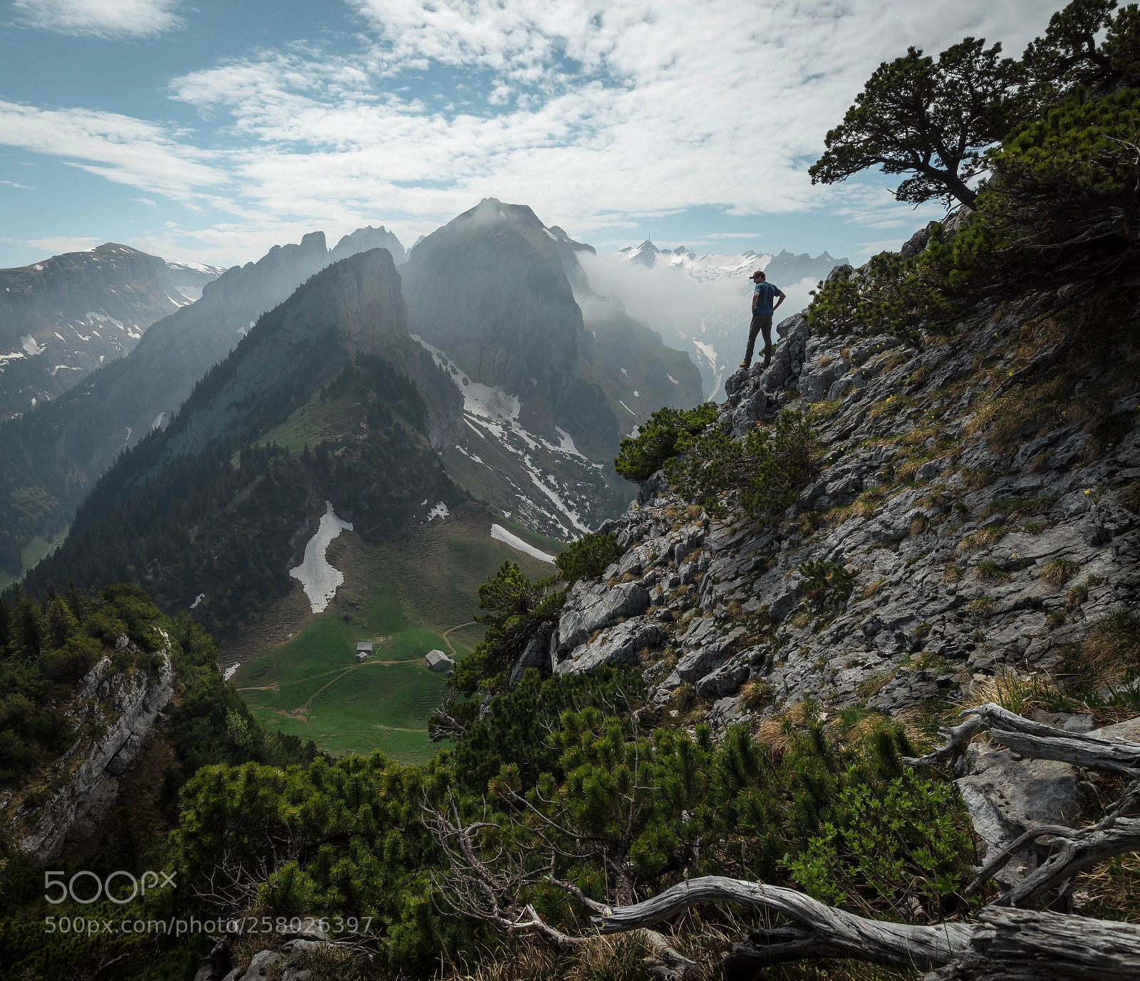 Sony a7R sample photo. Alpstein photography
